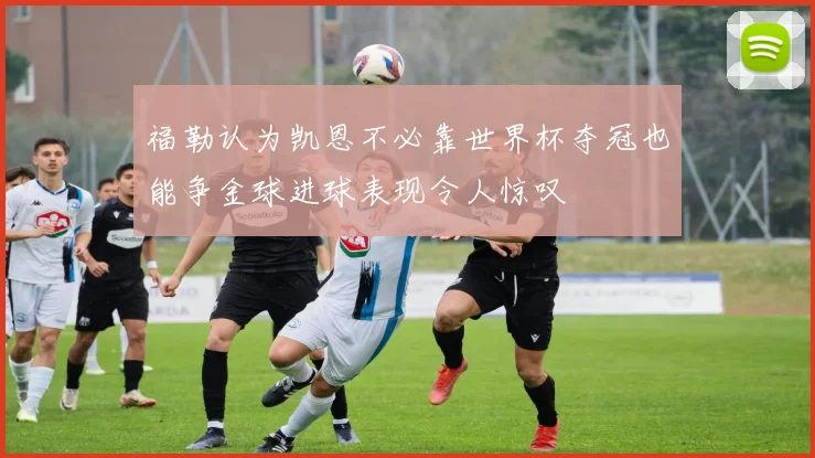 福勒认为凯恩不必靠世界杯夺冠也能争金球进球表现令人惊叹