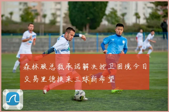 森林狼总裁承诺解决控卫困境今日交易里德换来三球新希望