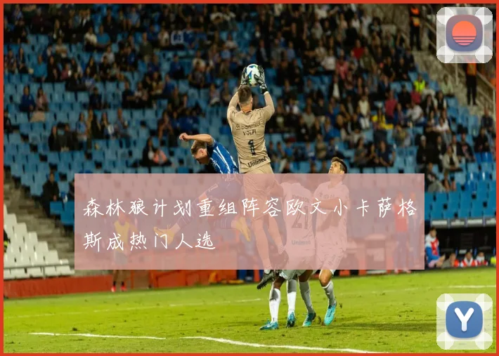 森林狼计划重组阵容欧文小卡萨格斯成热门人选